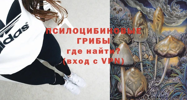 прущая мука Сясьстрой