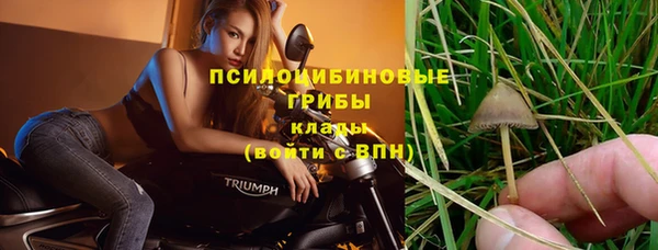 стаф Волоколамск