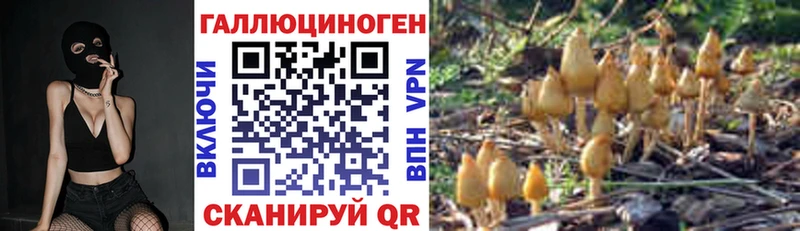 продажа наркотиков  Брюховецкая  Псилоцибиновые грибы Psilocybine cubensis 